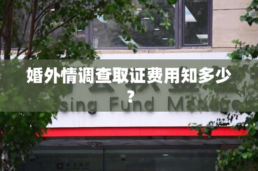 湖口婚外情调查取证费用知多少？