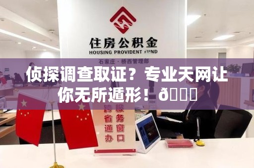 湖口侦探调查取证？专业天网让你无所遁形！😎