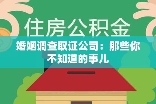 湖口婚姻调查取证公司：那些你不知道的事儿