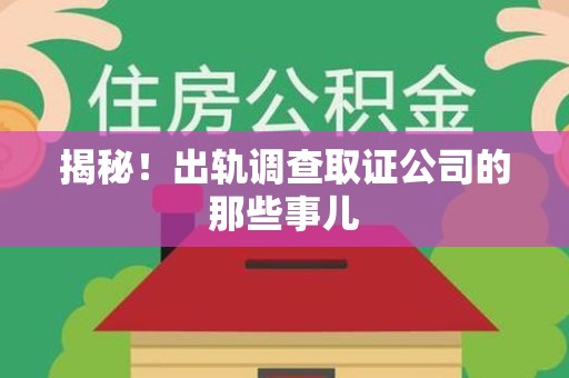 湖口揭秘！出轨调查取证公司的那些事儿