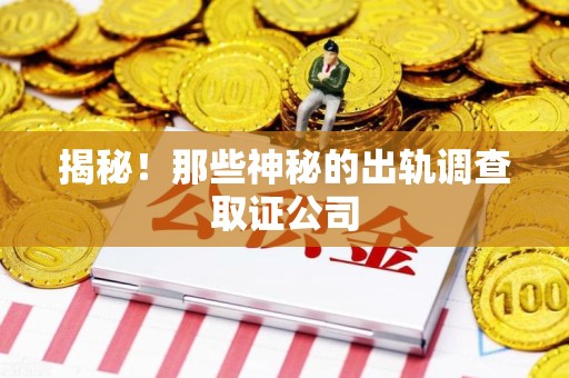 湖口揭秘！那些神秘的出轨调查取证公司