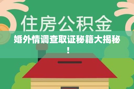 湖口婚外情调查取证秘籍大揭秘！