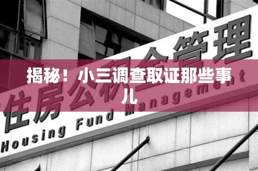 湖口揭秘！小三调查取证那些事儿