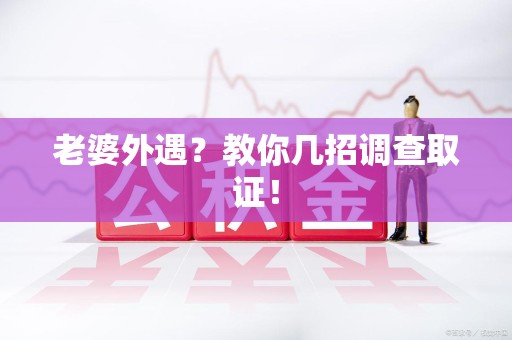 湖口老婆外遇？教你几招调查取证！