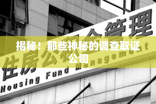 湖口揭秘！那些神秘的调查取证公司