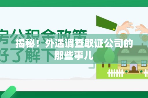 湖口揭秘！外遇调查取证公司的那些事儿