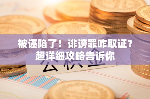 湖口被诬陷了！诽谤罪咋取证？超详细攻略告诉你