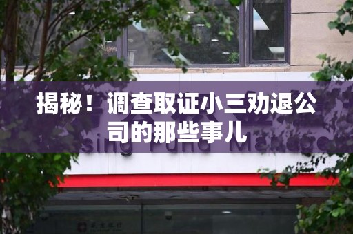 湖口揭秘！调查取证小三劝退公司的那些事儿