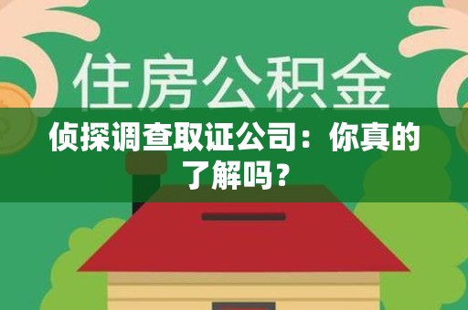 湖口侦探调查取证公司：你真的了解吗？